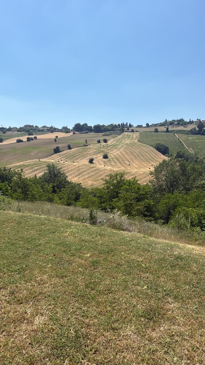 Macerata